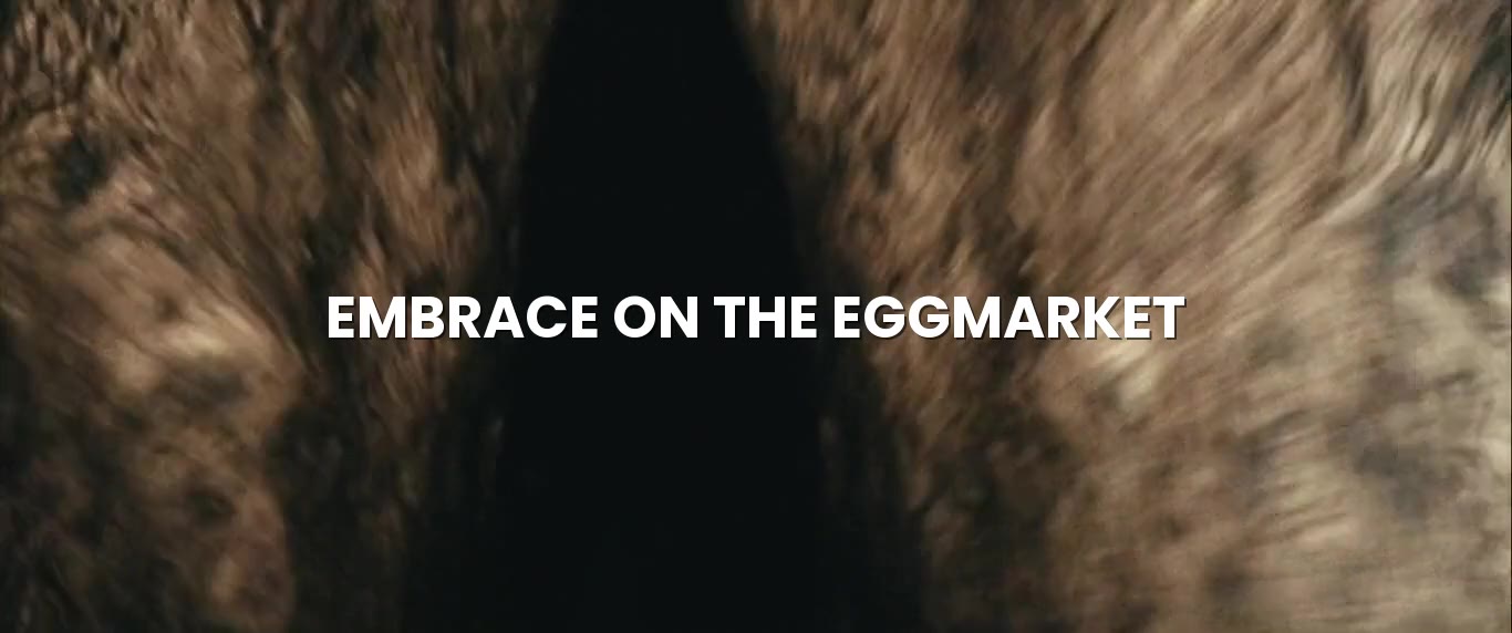 Embrace on the Egg Market — 30 seconds edit