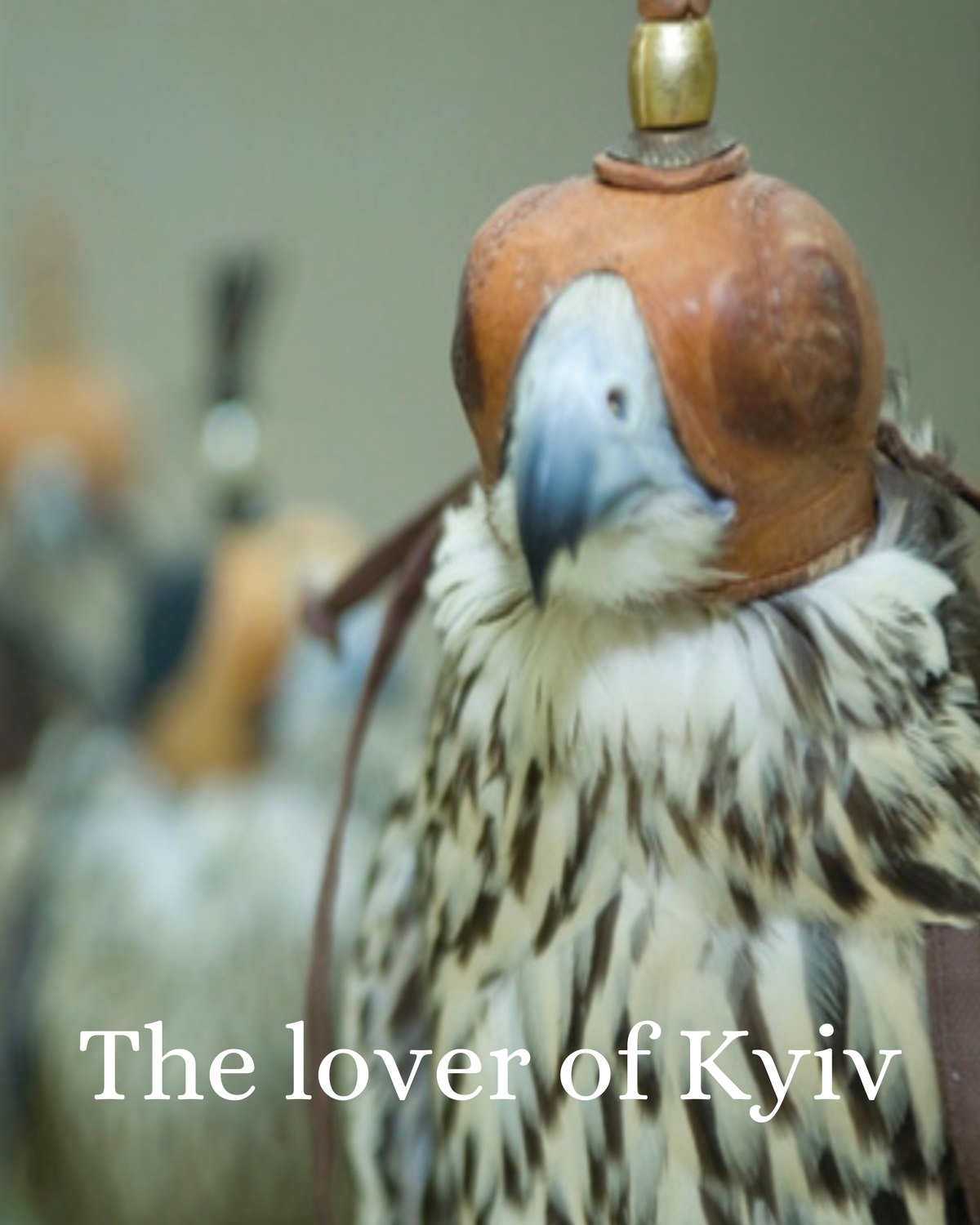 The Lover of Kyiv — hooded falcon