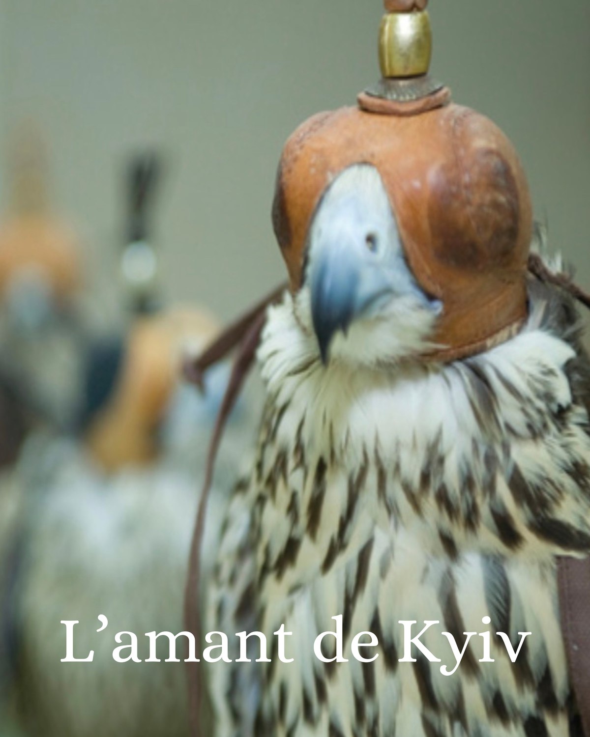 L’amant de Kiev — faucon chaperonné